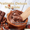 Πραλίνα Φουντουκιού “Pralinato Deluxe” 13kg – 6kg